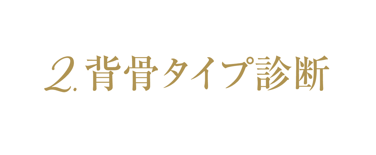 背骨タイプ